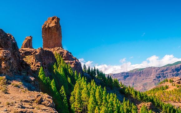 Willkommen auf... Gran Canaria!