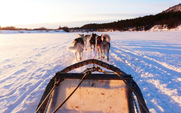 Ihre Rundreise im Detail