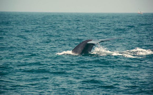 Ihre Rundreise im Detail