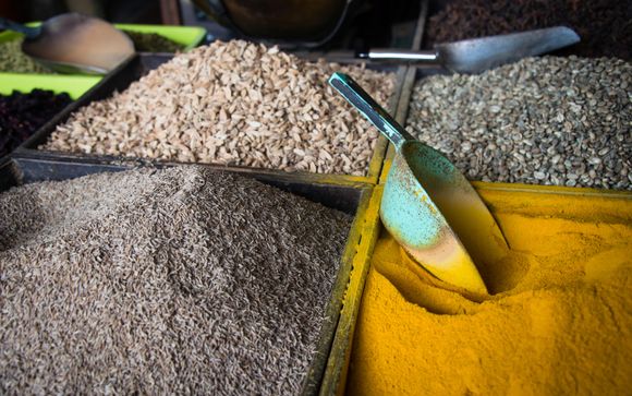 Ihre Informationen zum Transport