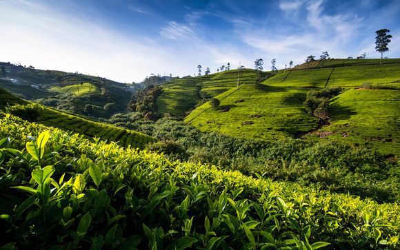 Willkommen auf Sri Lanka!
