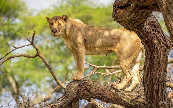Willkommen auf Sansibar!