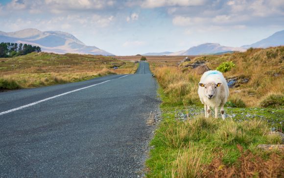 Ihre Autotour im Detail