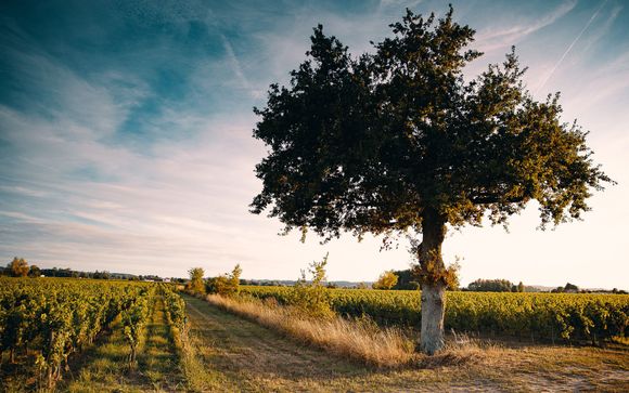 Ihre Ausflugsoptionen
