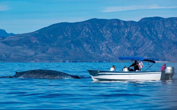 Im Angebot enthalten