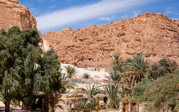 Im Angebot enthalten