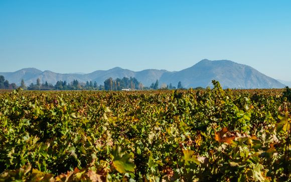 Ihre Rundreise im Detail