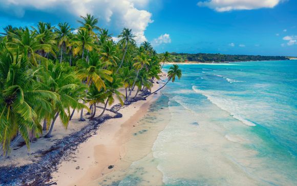 Im Angebot enthalten