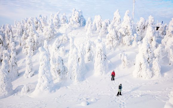 Im Angebot enthalten