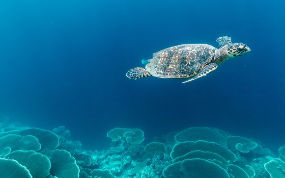 Ihre Kreuzfahrt im Detail