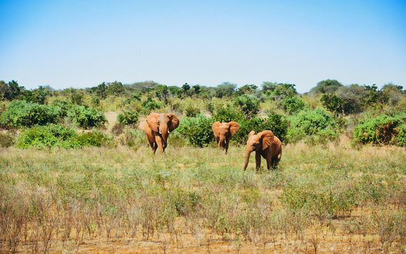 Willkommen in Kenia
