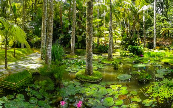 Im Angebot enthalten