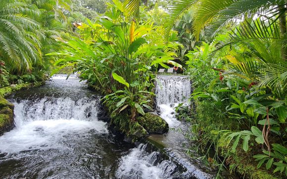 Ihre Rundreise im Detail