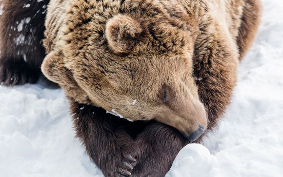 Im Angebot enthalten