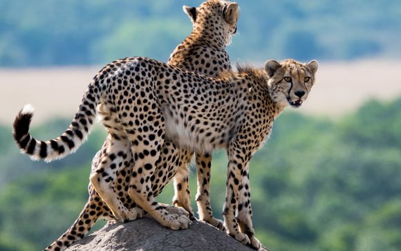 Ihre Safari im Detail