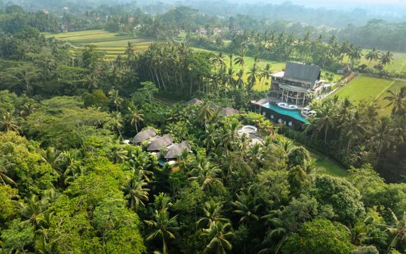 Abisena Wellness & Resort Ubud 5*