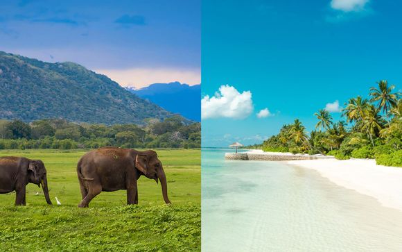 Willkommen auf Sri Lanka und den Malediven!