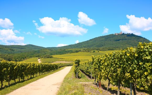 Ihre kulinarische Auszeit im Elsass
