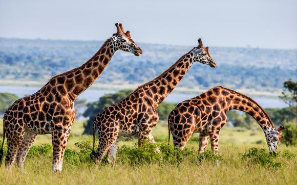 Ihre Rundreise im Überblick