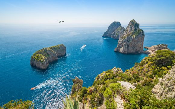 Ihre Ausflugsoptionen