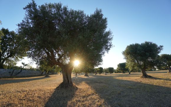 Ihre Autotour im Detail