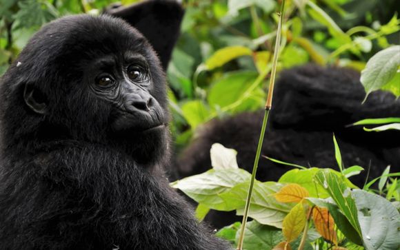 Ihre Rundreise im Detail