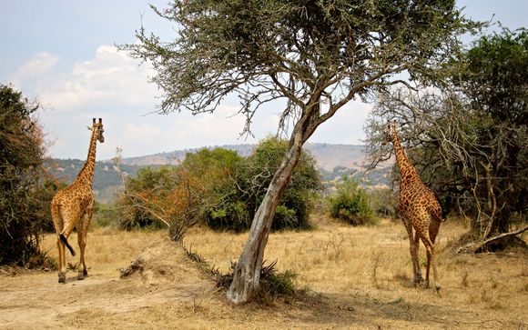 Ihre Reise im Detail