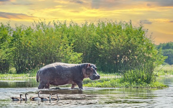 Ihre Rundreise im Detail