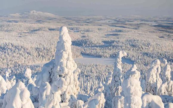 Willkommen in Kuusamo