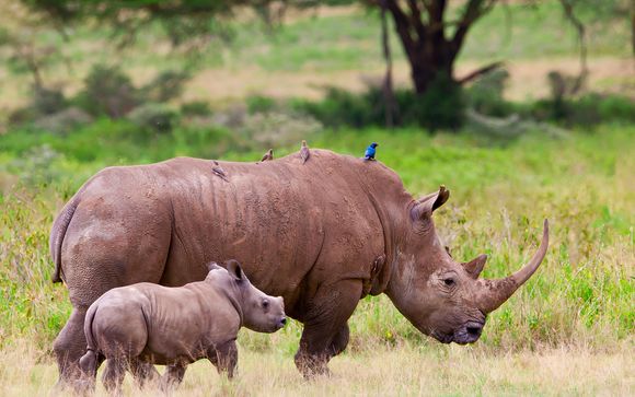 Ihre Ausflugsoptionen