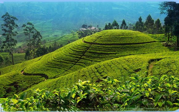 Ihre Rundreise im Detail