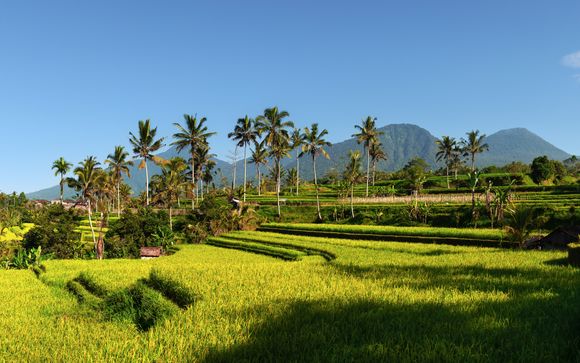 Willkommen in Indonesien
