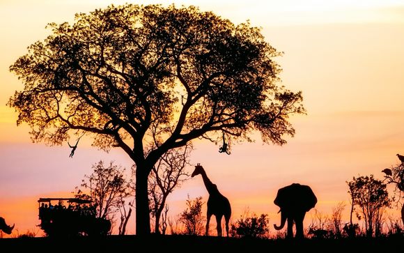 Ihre Ausflugsoptionen