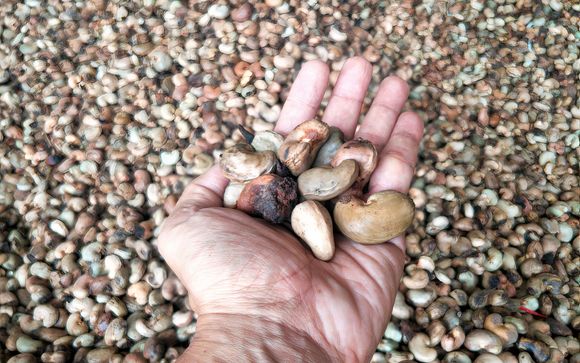 Ihre Rundreise im Detail