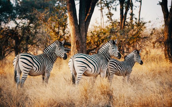 Ihre Reise im Detail