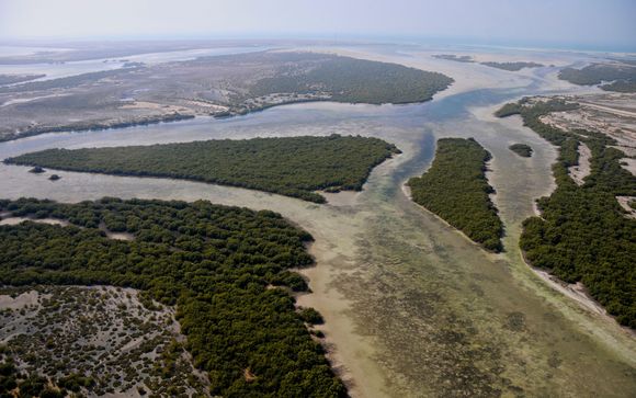 Im Angebot enthalten