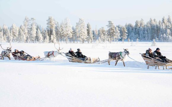 Ihre Ausflugsoptionen