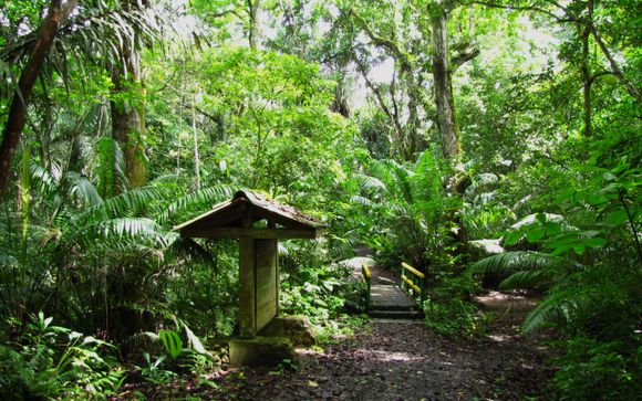 Ihre Reise im Überblick