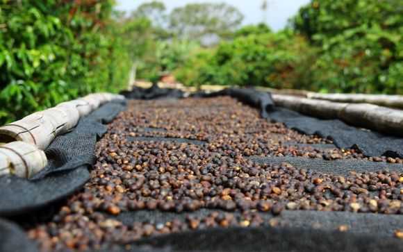 Ihre Reise im Detail