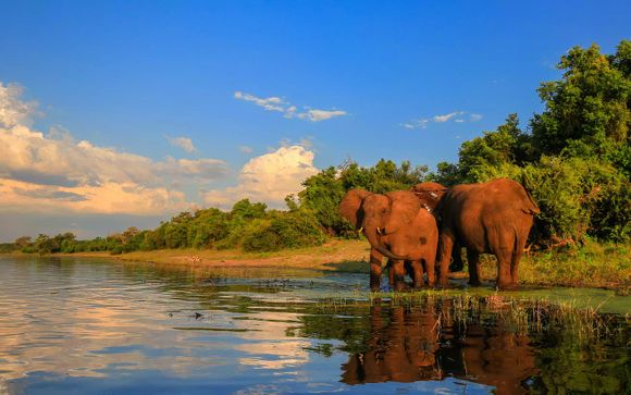 Safari in 10 Nächten