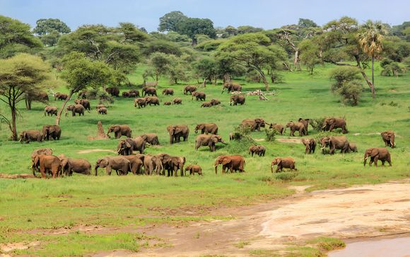 Ihre Safari im Überblick 