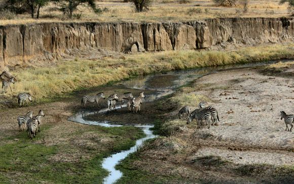 Willkommen in Tansania!