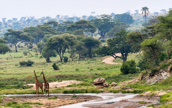 Ihre Safari im Detail