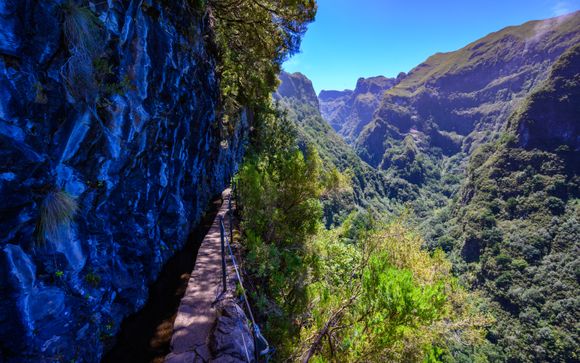 Ihre Ausflugsoptionen
