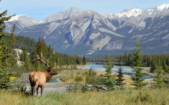 Ihre Reise im Detail