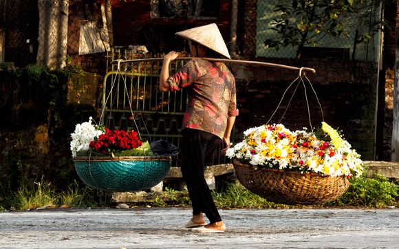 Ihre Ausflugsoptionen