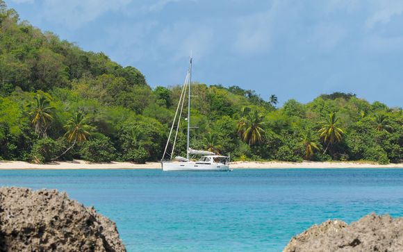 Ihre Kreuzfahrt im Detail