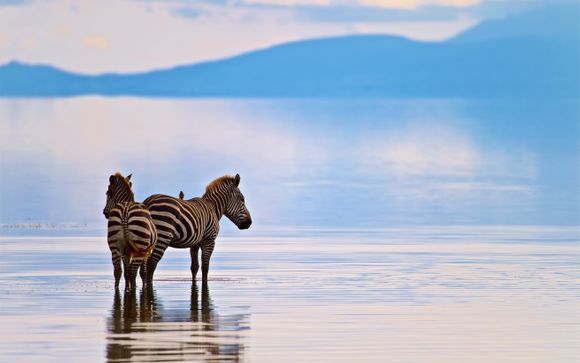 Ihre Safari im Detail