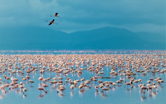 Ihre Safari im Überblick