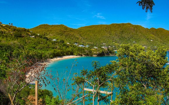 Ihre Kreuzfahrt im Detail